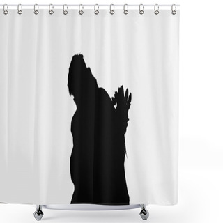 Personality  Black Silhouette Of Man Embracing Woman Holding Flowers Isolated On White Shower Curtains