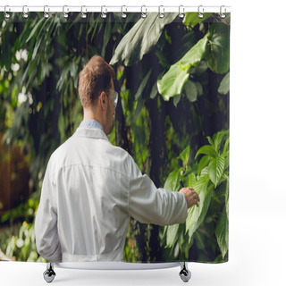 Personality  Back View Of Scientist In White Coat And Goggles Examining Plants In Orangery Shower Curtains