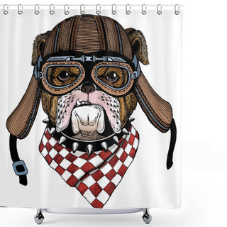 Personality  Bulldog, Dog. Portrait Of Cute Animal. Motorcycle Helmet. Shower Curtains