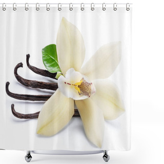 Personality  Dried Vanilla Sticks And Orchid Vanilla Flower Isolated On White Shower Curtains