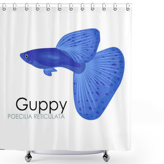 Personality  Aquarium Fish Guppy Vector Illustration Isolated On White Background. Shower Curtains