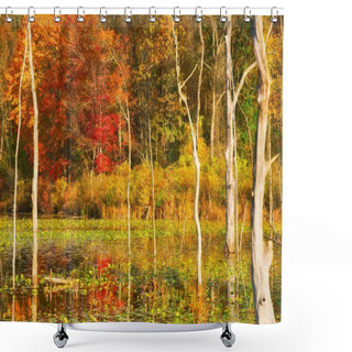 Personality  Marsh In Autumn Shower Curtains