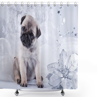 Personality  Pug Puppy Dog Shower Curtains