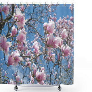 Personality  Magnolia Tree Shower Curtains