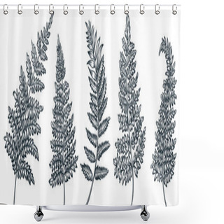 Personality  Fern Leaves Set, Vector Doodle Sketch Illustration. Hand Drawn Floral Nature Vintage Design Elements. Garden Tropical Plant Isolated On White Background Shower Curtains