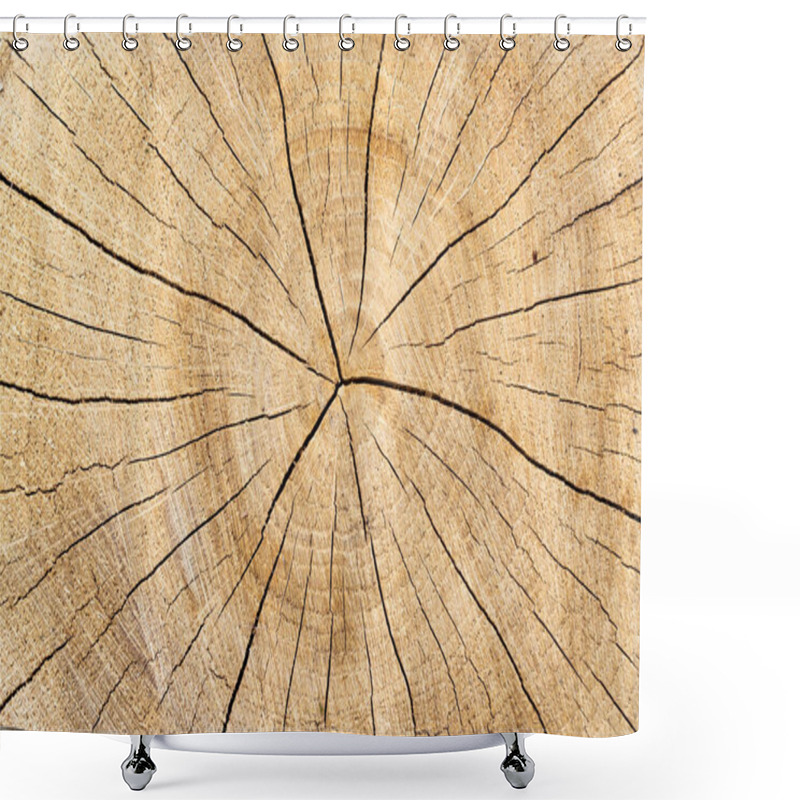 Personality  Cross Section Of Wood Close Up. Tree Trunk With Tree Rings And Cracks Shower Curtains