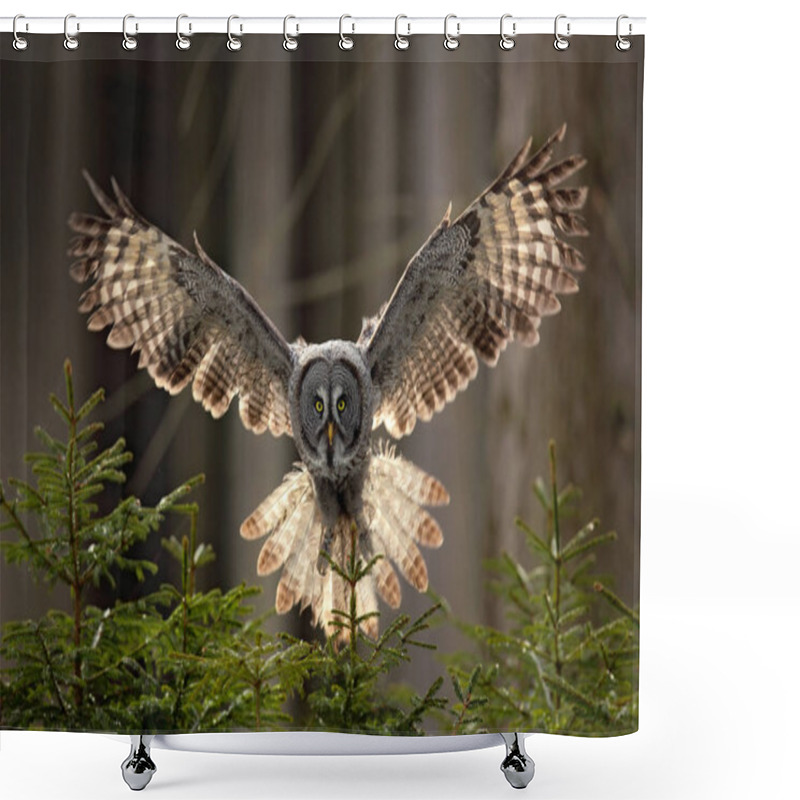 Personality  Grey owl bird in fly shower curtains
