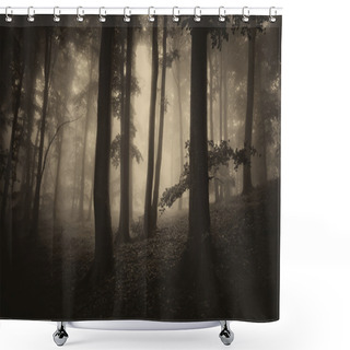 Personality  Dark Spooky Scary Forest On Halloween Night Shower Curtains