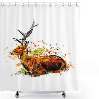 Personality  Colored Hand Sketch Sitting Deer Shower Curtains
