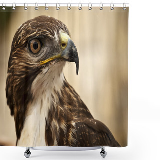Personality  Portrait Of A Raptor Shower Curtains