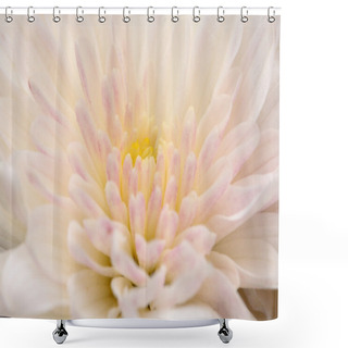 Personality  Pink Flower Shower Curtains