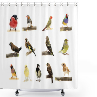 Personality  Group Of Small Birds On White Shower Curtains