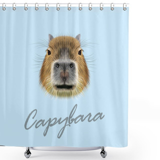 Personality  Vector Illustrated Portrait Of Capybara.  Shower Curtains