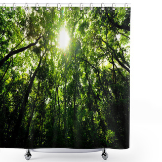 Personality  Green Forest In The Morning Shower Curtains