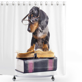 Personality  Puppy In Glasses Shower Curtains