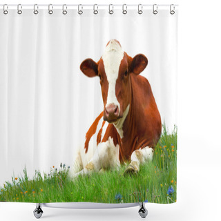 Personality  Cow On Grass Shower Curtains