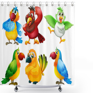 Personality  Birds Illustration Shower Curtains