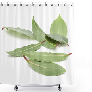 Personality  Aromatic Bay Leaves  Shower Curtains