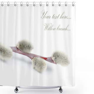 Personality  Beautiful Branch Of Willow Isolated Shower Curtains