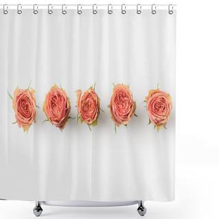 Personality  Pink Roses Buds Shower Curtains