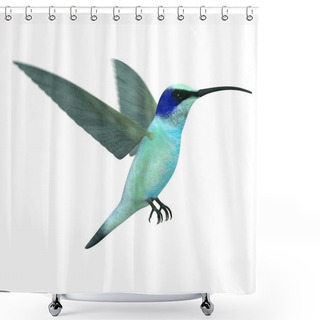 Personality  3d Render Of Colibri Bird Shower Curtains