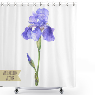 Personality  Violet Iris Flower Shower Curtains