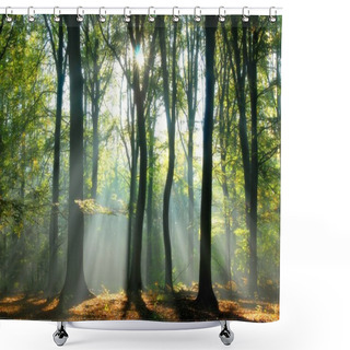 Personality  Beams Of Light Pour Through The Trees Shower Curtains