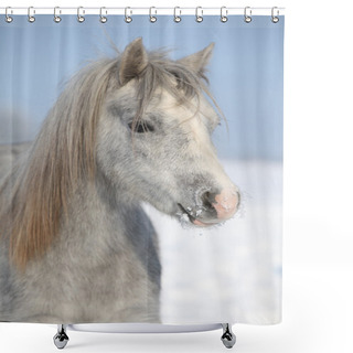 Personality  Amazing Grey Pony In Winter Shower Curtains