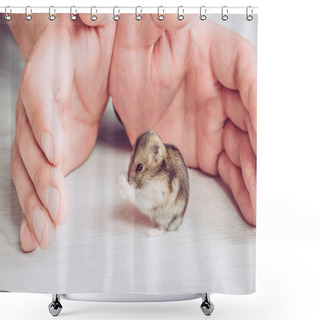 Personality  Partial View Of Man Hands Near Funny Hamster Washing On Grey Wooden Background Shower Curtains