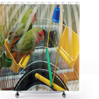 Personality  Rosy Faced Lovebird Parrot In A Cage Shower Curtains