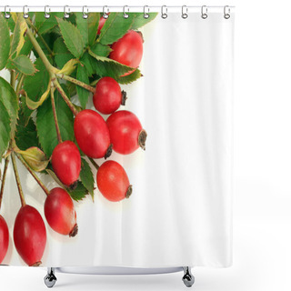 Personality  Ripe Hip Roses On Branch With Leaves, Isolated On White Shower Curtains