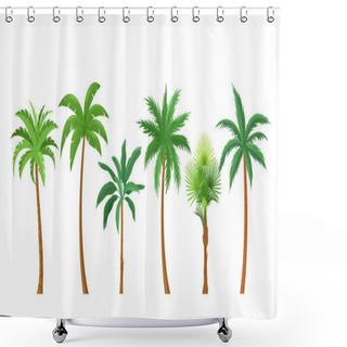 Personality  Palm Trees Flat Color Vector Illustrations Set Shower Curtains