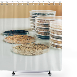Personality  Close Up View Of Various Seeds In Plastic Containers In Modern Agro Laboratory  Shower Curtains