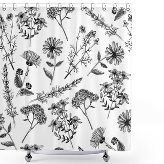 Personality  Hand Drawn Herbs And Plants Shower Curtains