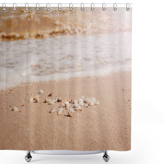 Personality  Pile Of Seashells On A Red Sand Lying In Disorder Shower Curtains