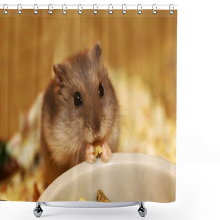 Personality  Hamster Shower Curtains