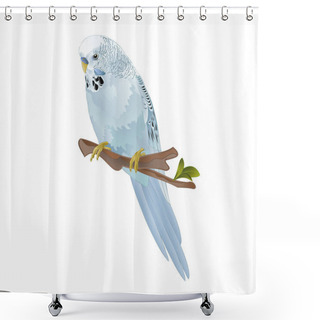 Personality  Bird Budgerigar, Blue Pet Parakeet  Or Budgie Or Shell Parakeet Home Pet On A White Background Vintage Vector Illustration Editable Hand Draw Shower Curtains