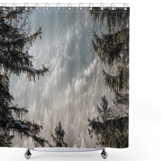 Personality  Snowy Forest Shower Curtains