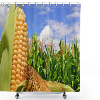 Personality  Ear Of Corn Against A Field Under Clouds Shower Curtains