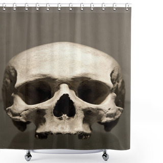 Personality   Ossuary. Shower Curtains