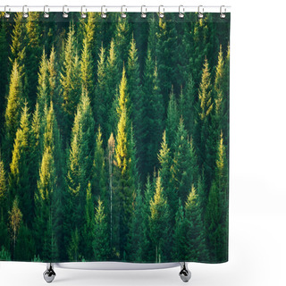 Personality  Beautiful Evergreen Forest With Fir Trees Shower Curtains