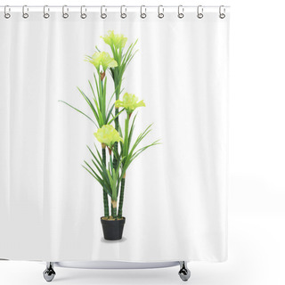 Personality  Big Dracaena Palm In A Pot Isolated Over White Shower Curtains