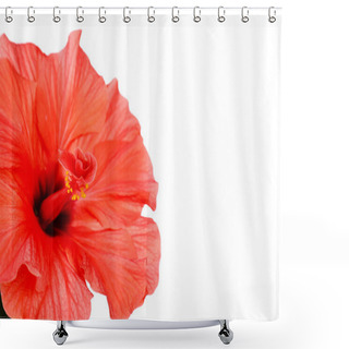 Personality  Red Hibiscus Flower, Close-up, Isolated On White Shower Curtains
