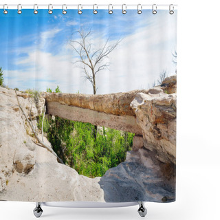 Personality  Petrified Forest National Park Shower Curtains