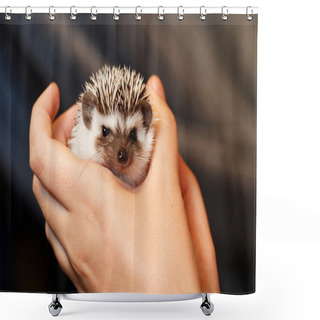 Personality  Cute Little Hedgehog Shower Curtains