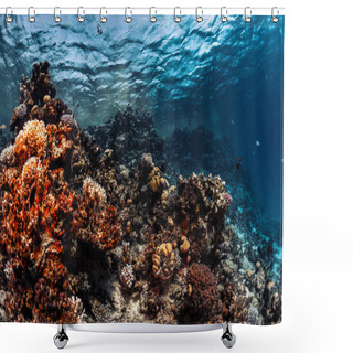 Personality  Coral Reef With Fish  Shower Curtains
