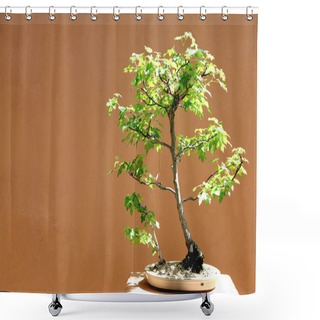 Personality  Bonsai Shower Curtains