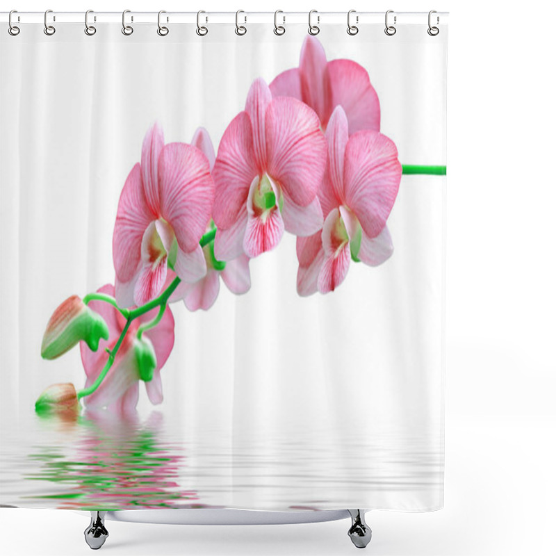 Personality  Flowers Red Orchids Shower Curtains