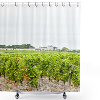 Personality  Vineyard And Chateau D'Yquem, Sauternes Region, France Shower Curtains