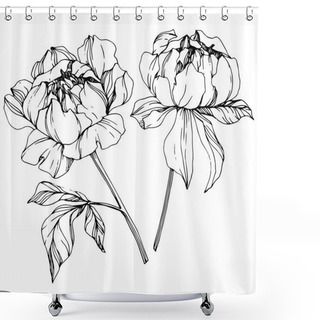 Personality  Vector Isolated Monochrome Peony Flowers Sketch On White Background. Engraved Ink Art.  Shower Curtains